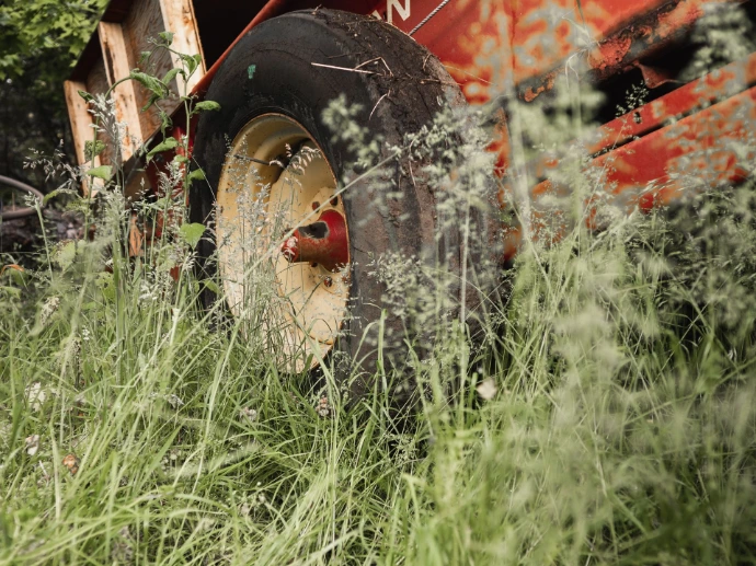 tractor in weeds at Farm to Garden in Saanich, BC